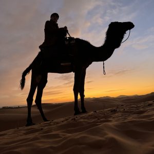 Tunus Sahra Çölü'nde gün batımı saatinde kum tepeleri üzerinde deve kervanı silüeti